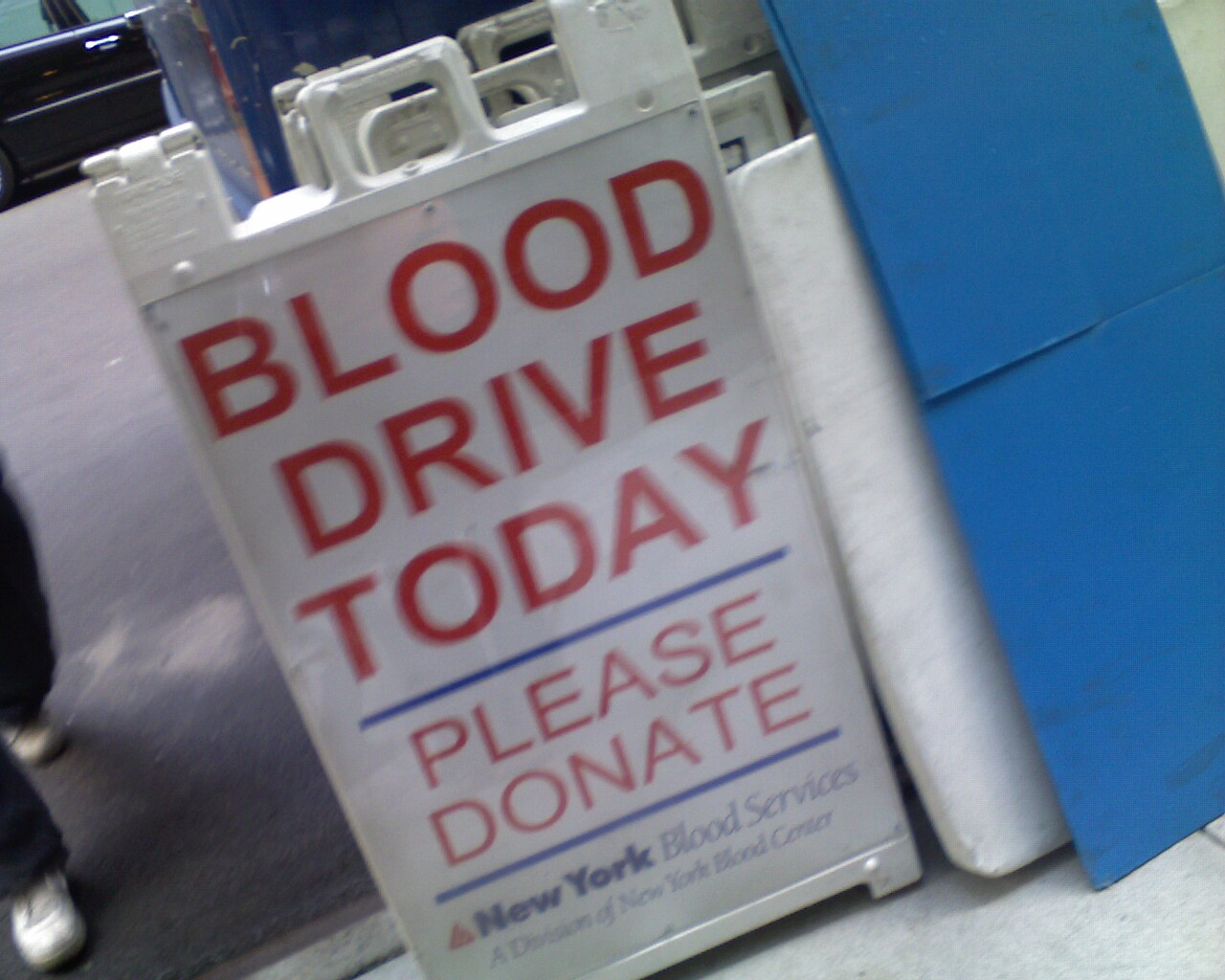 [Photo_081208_001-765522.jpg]