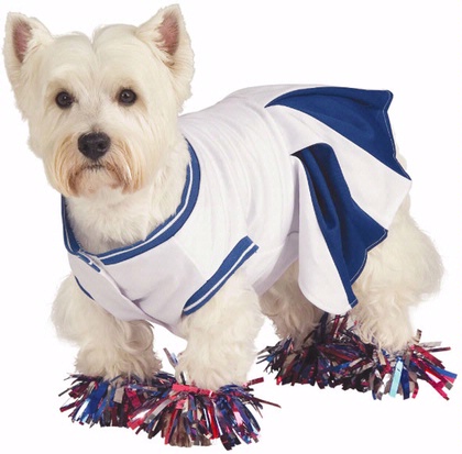 [BlogDog.jpg]