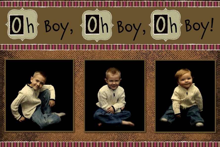 Oh Boy, Oh Boy, Oh Boy...Life as a working mom with three boys!