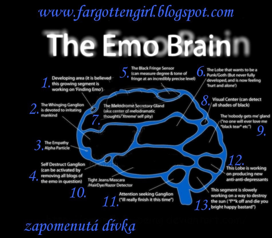 [The_EMO_Brain_by_amorphousbeing.jpg]