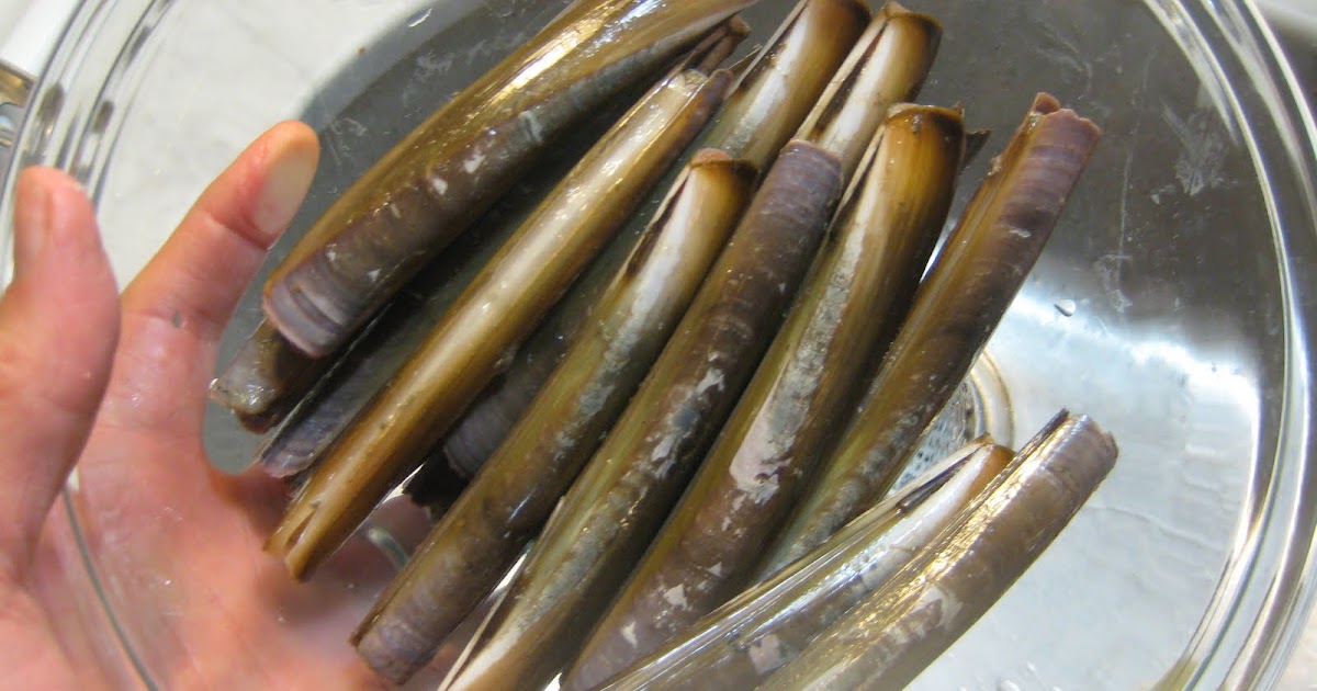 The Delicious Truth How to Cook Razor Clams (Easily)