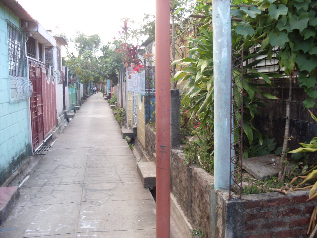 [SDC11596.JPG]