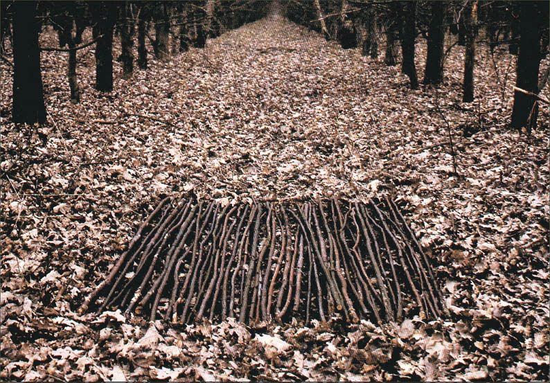 Lesson 1 Artsmart Trout Lake