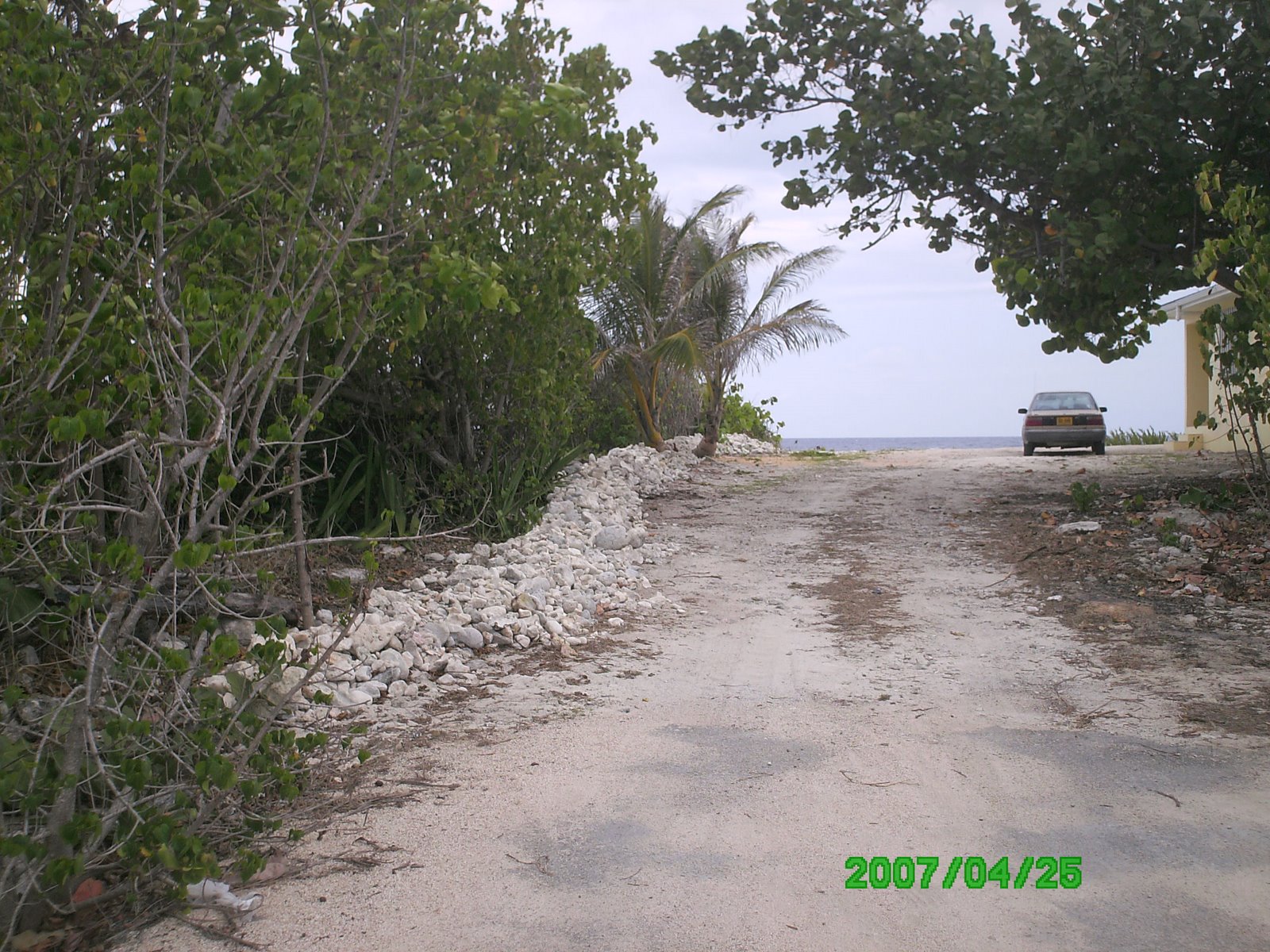 [PICT0414.JPG]