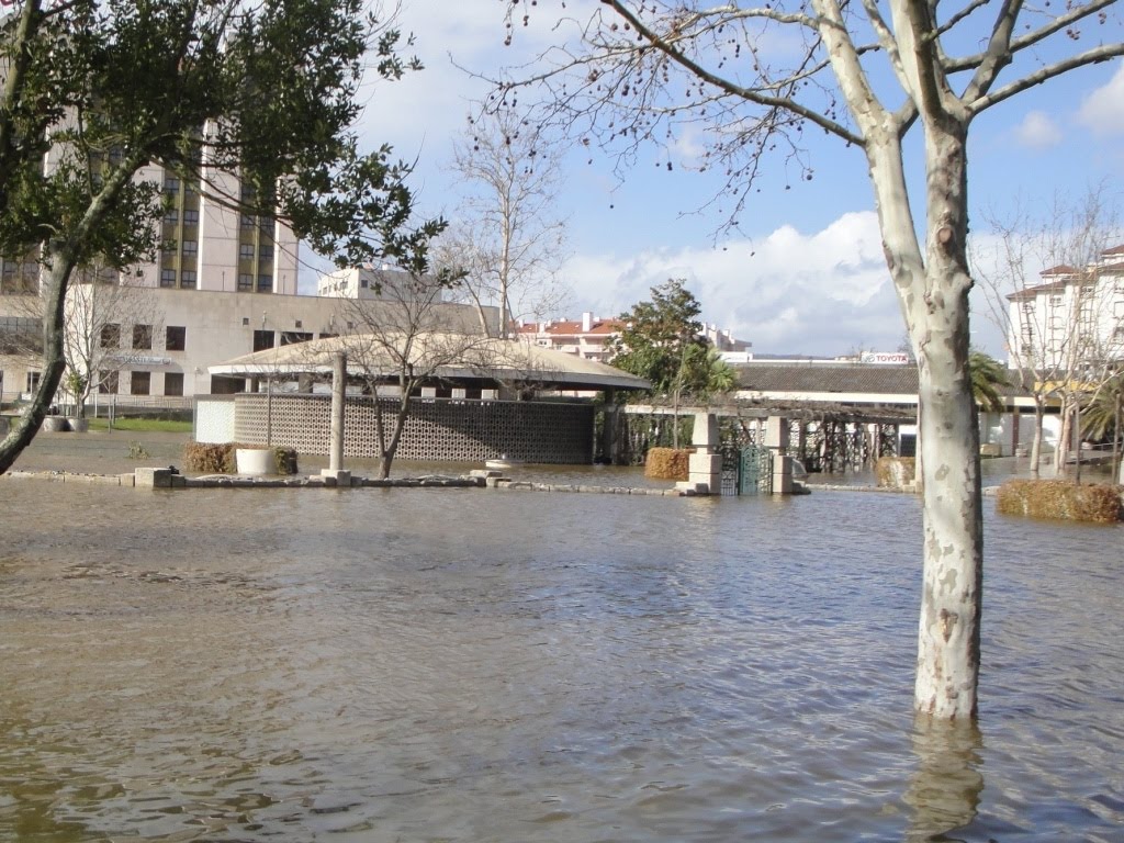 [DSC01757.JPG]
