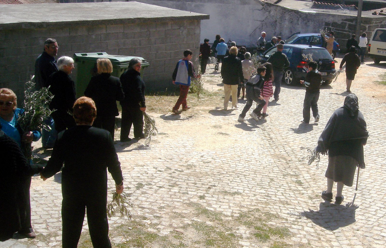 [DSC06794a.jpg]