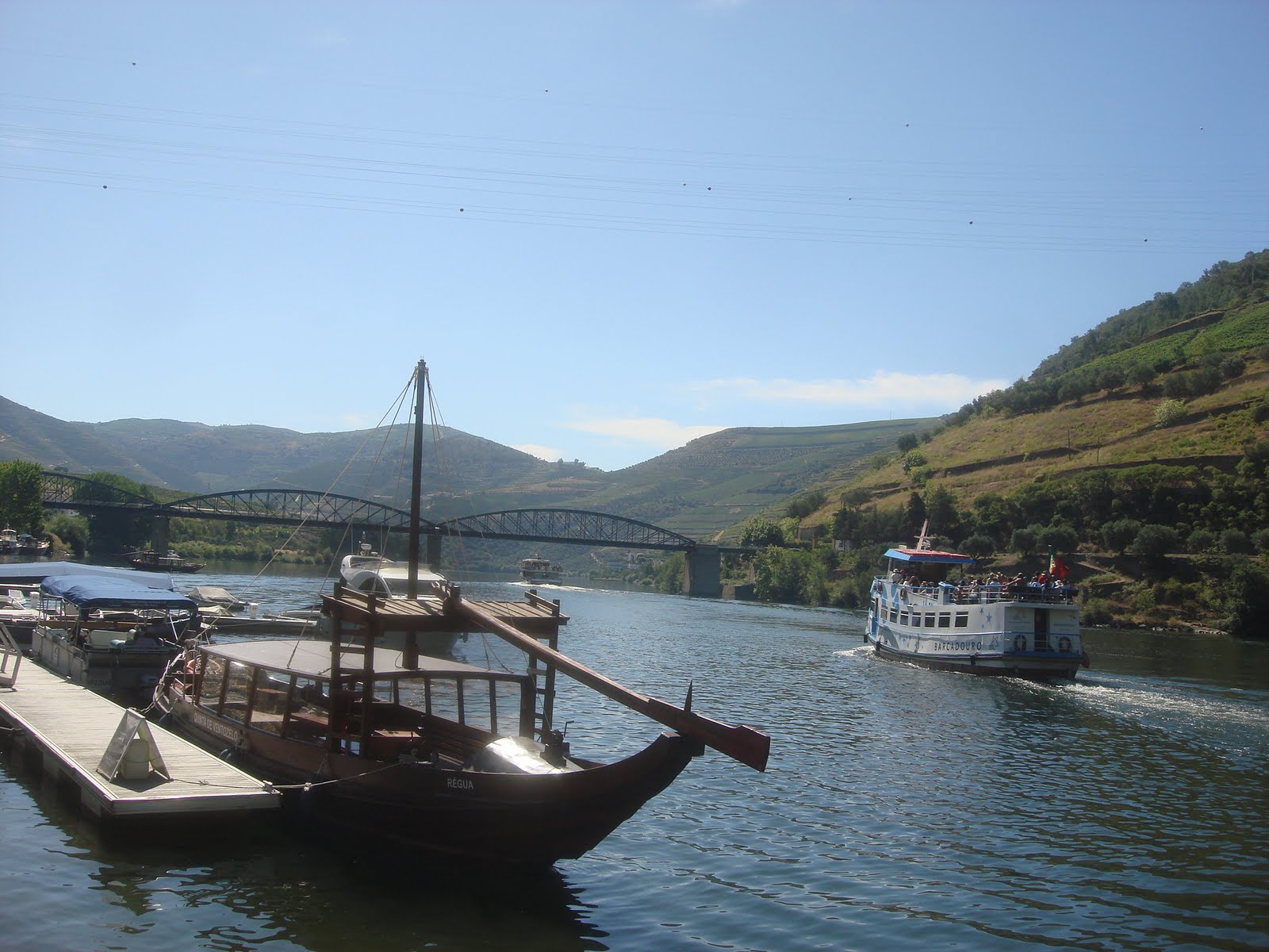 [DSC05795.JPG]