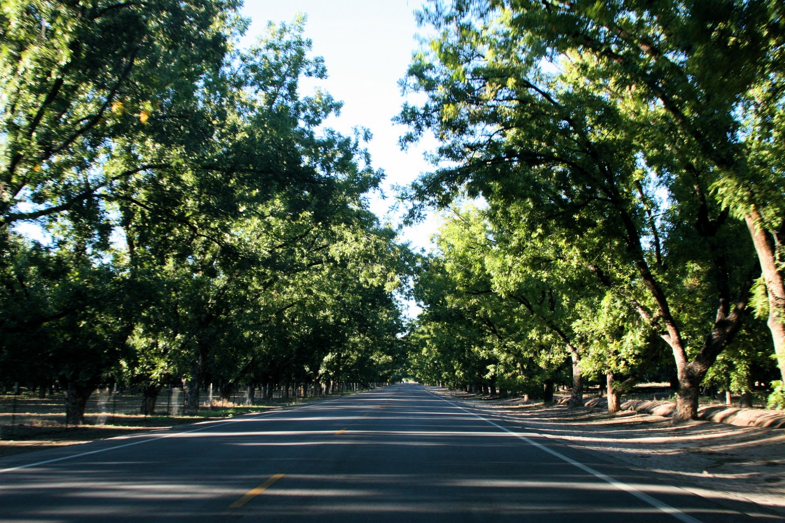Shelly Norton Photography A Few Reasons I'm Loving New Mexico