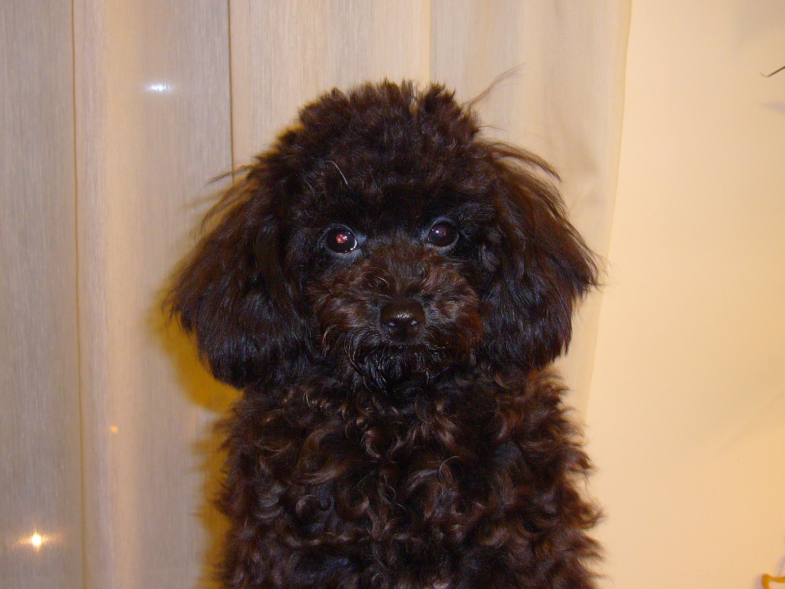 [D+(1st+hair+cut).JPG]