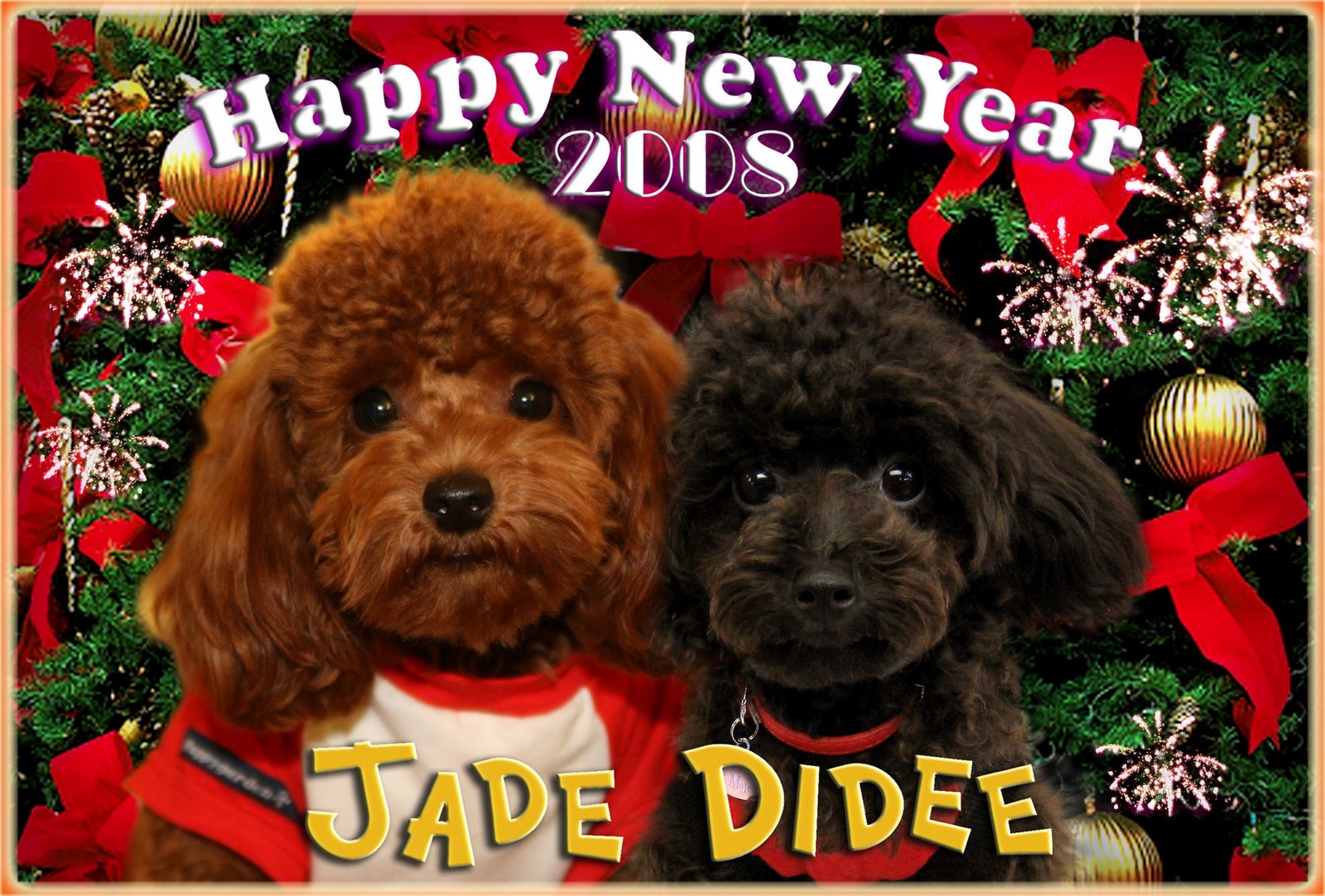 [HAPPY+NEW+YEAR.JPG]