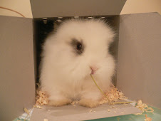 Brother-Bunny 5 yrs old