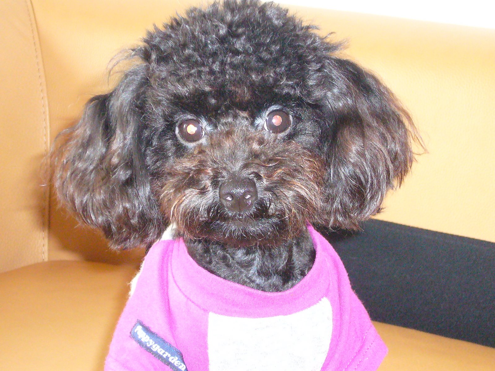 [DiDee+after+hair+cut+2.JPG]