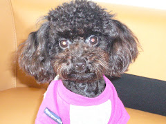 DiDee 1 Yr Old