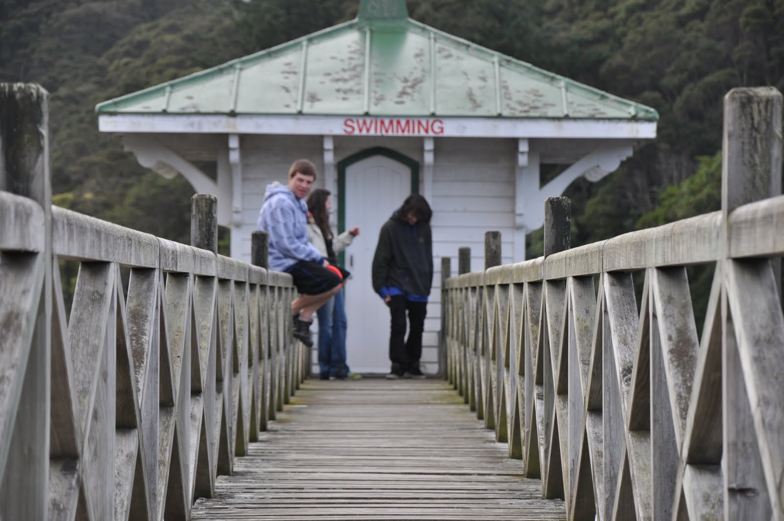 Ross Creek Dunedin