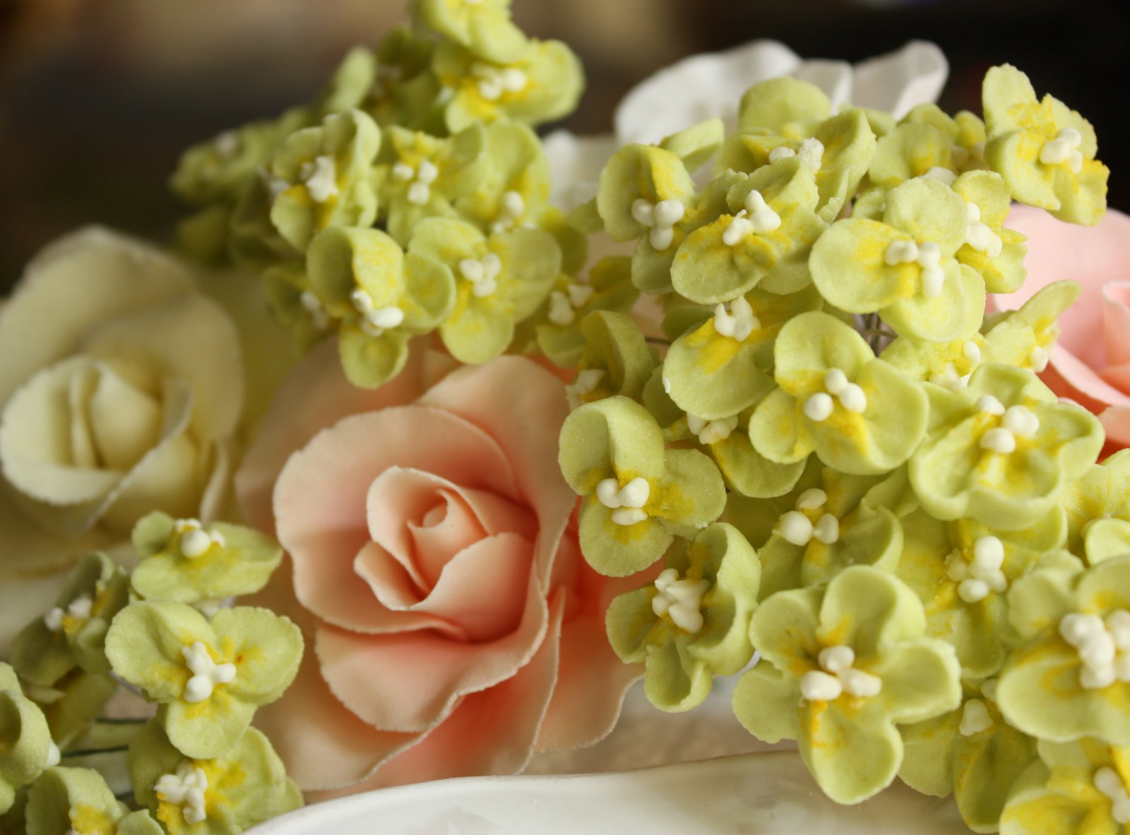 [IMG_5930+-+Copy.JPG]