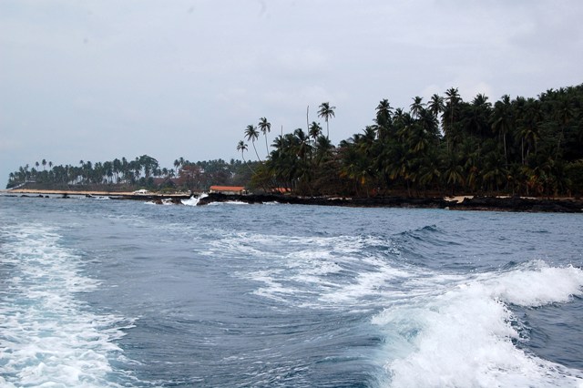 [DSC_042635154515.JPG]