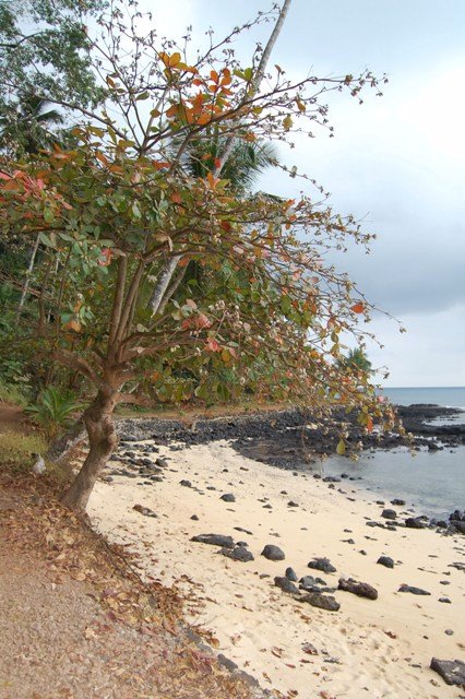 [DSC_018432744274.JPG]