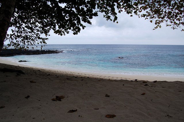 [DSC_019132814281.JPG]