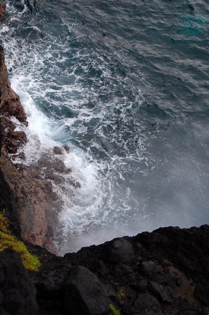 [DSC_025633464346.JPG]