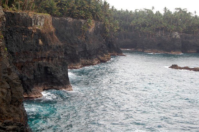 [DSC_024733374337.JPG]