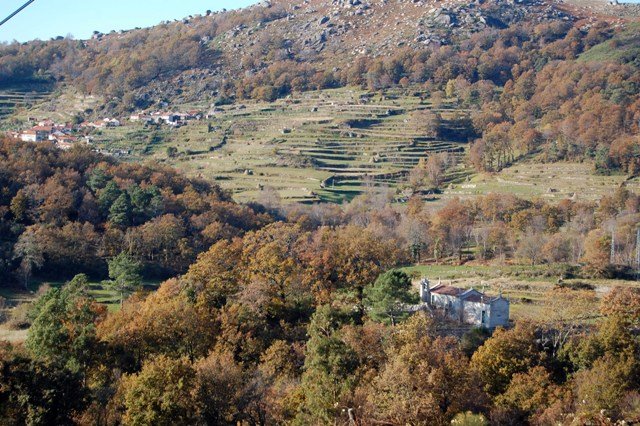 [images+1467092.jpg]