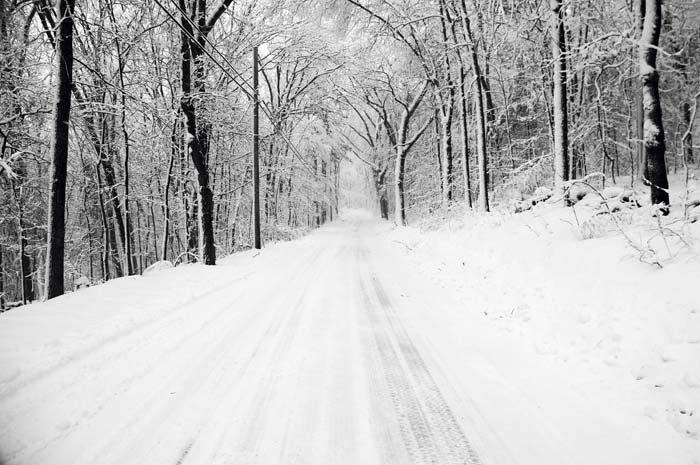 [JanuaryStorm08-009.jpg]