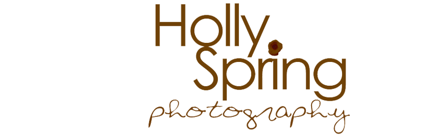Holly Spring Photography