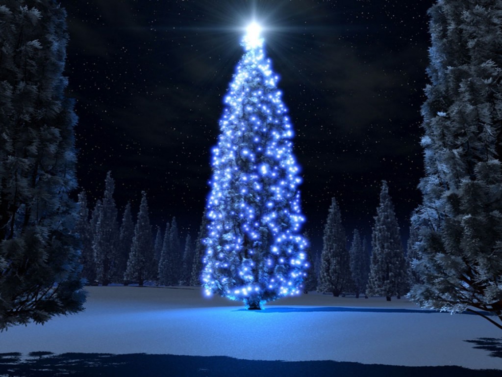 [arbol_de_navidad_1024x768-13243.jpeg.jpg]