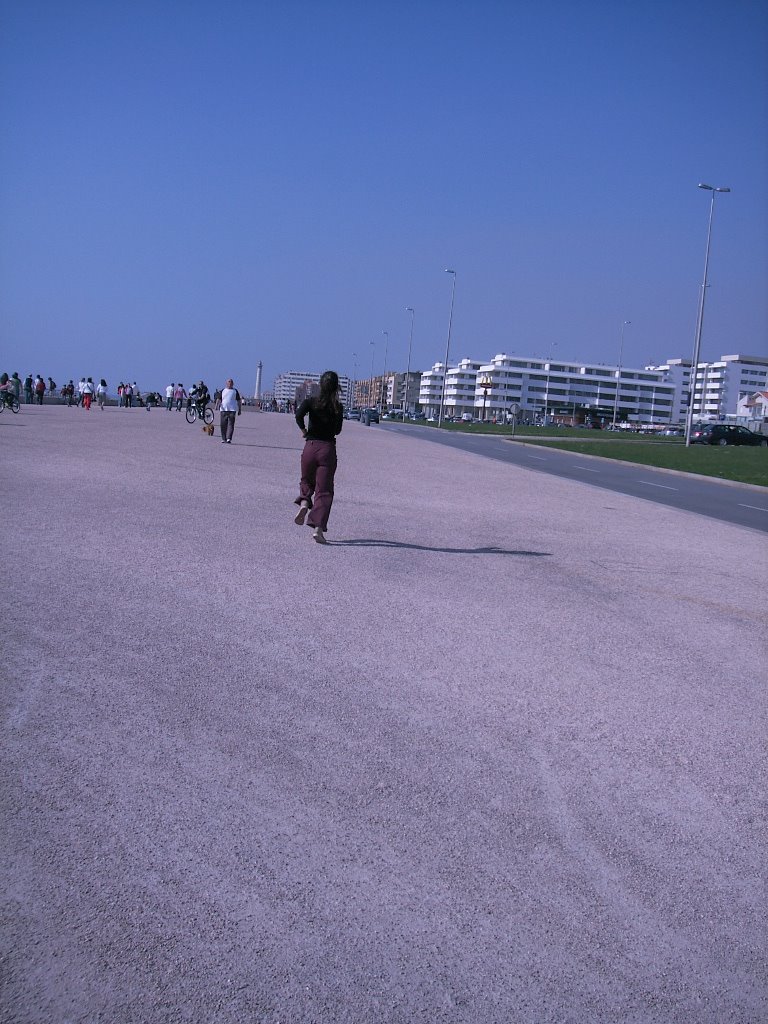 [DCAM1513.JPG]