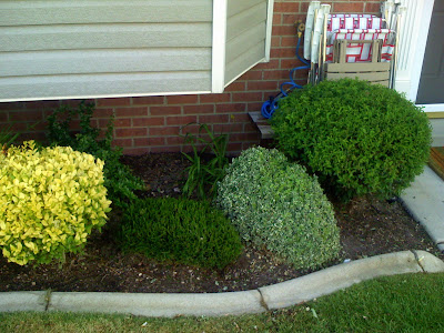villagetowns: View of front yard landscaping