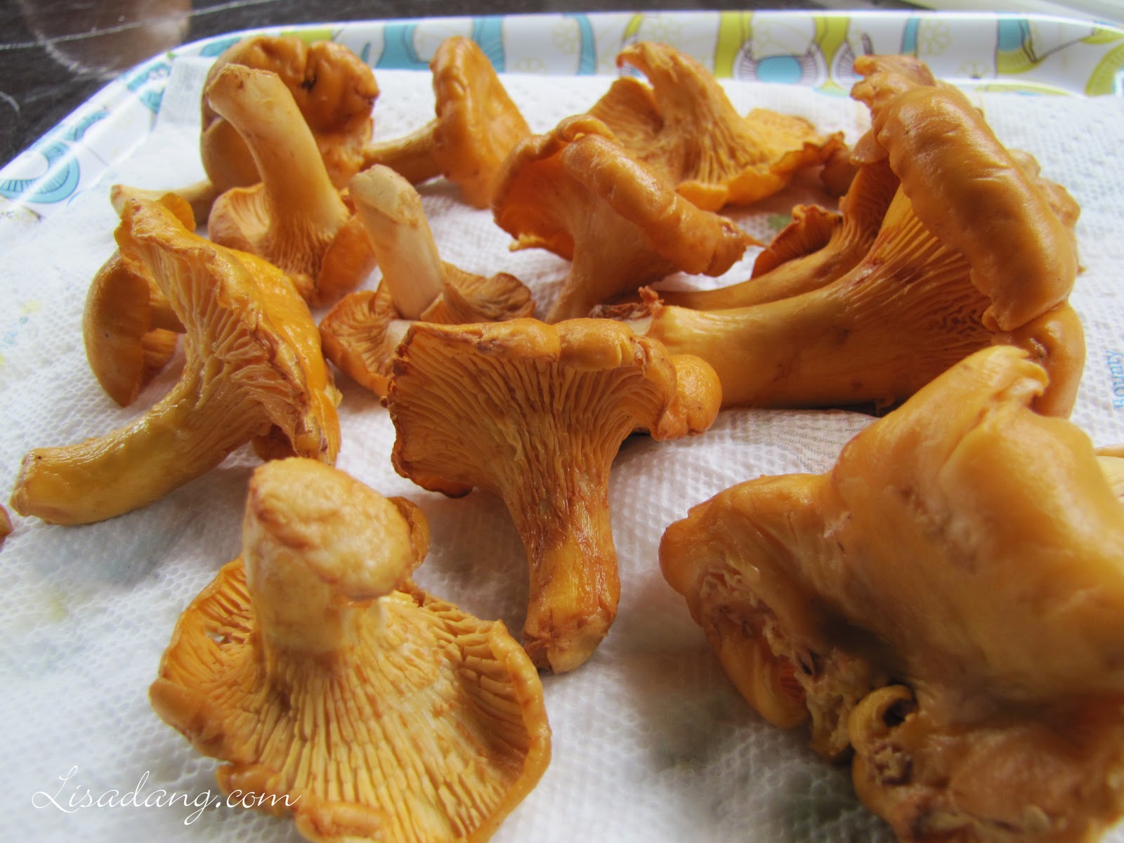 Dang It Delicious chanterelles