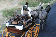 Fête de la Madeleine à Beaucaire (30)