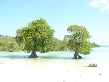 Pantai Nebrala-Rote Timor