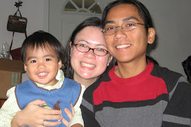 Nov. 2008
