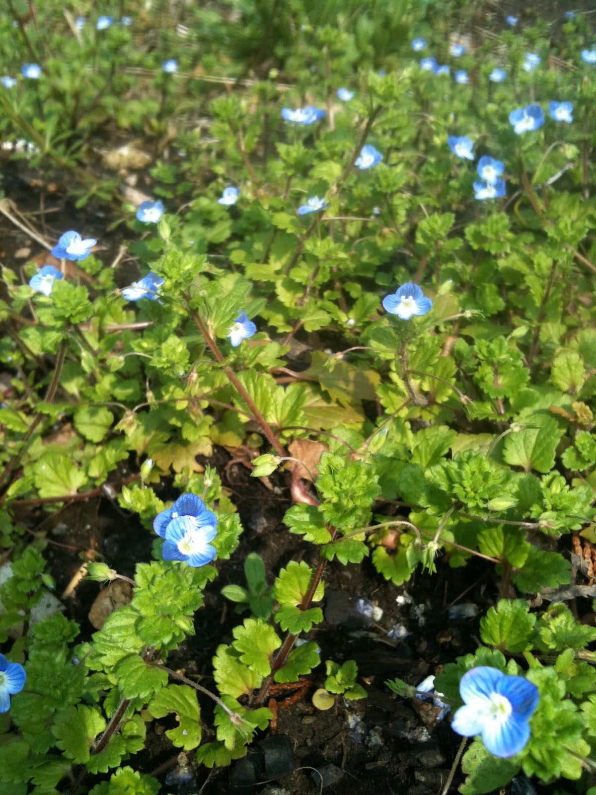 [IMG_0226.JPG]