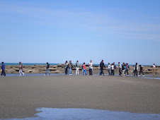 La marcha de los pingüinos.