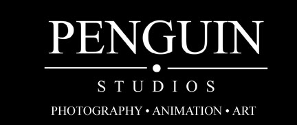 Penguin Studios