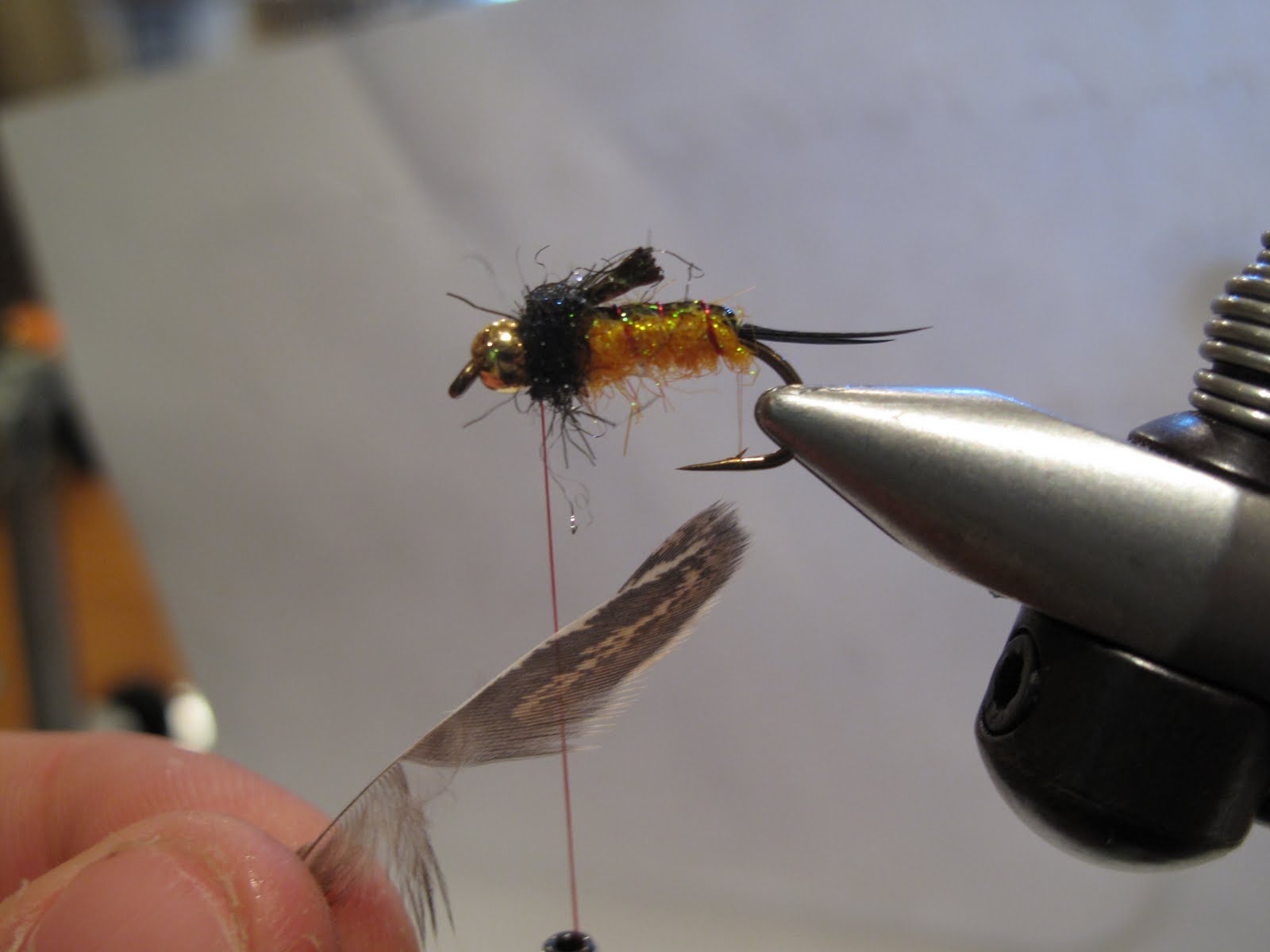 [steelhead+tellico+008.jpg]