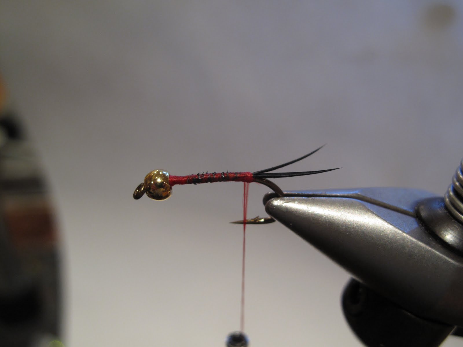 [steelhead+tellico+005.jpg]