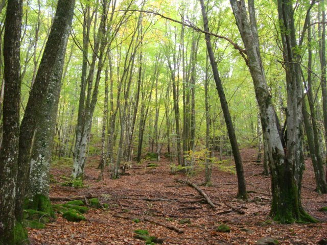 [dsc01650.jpg]