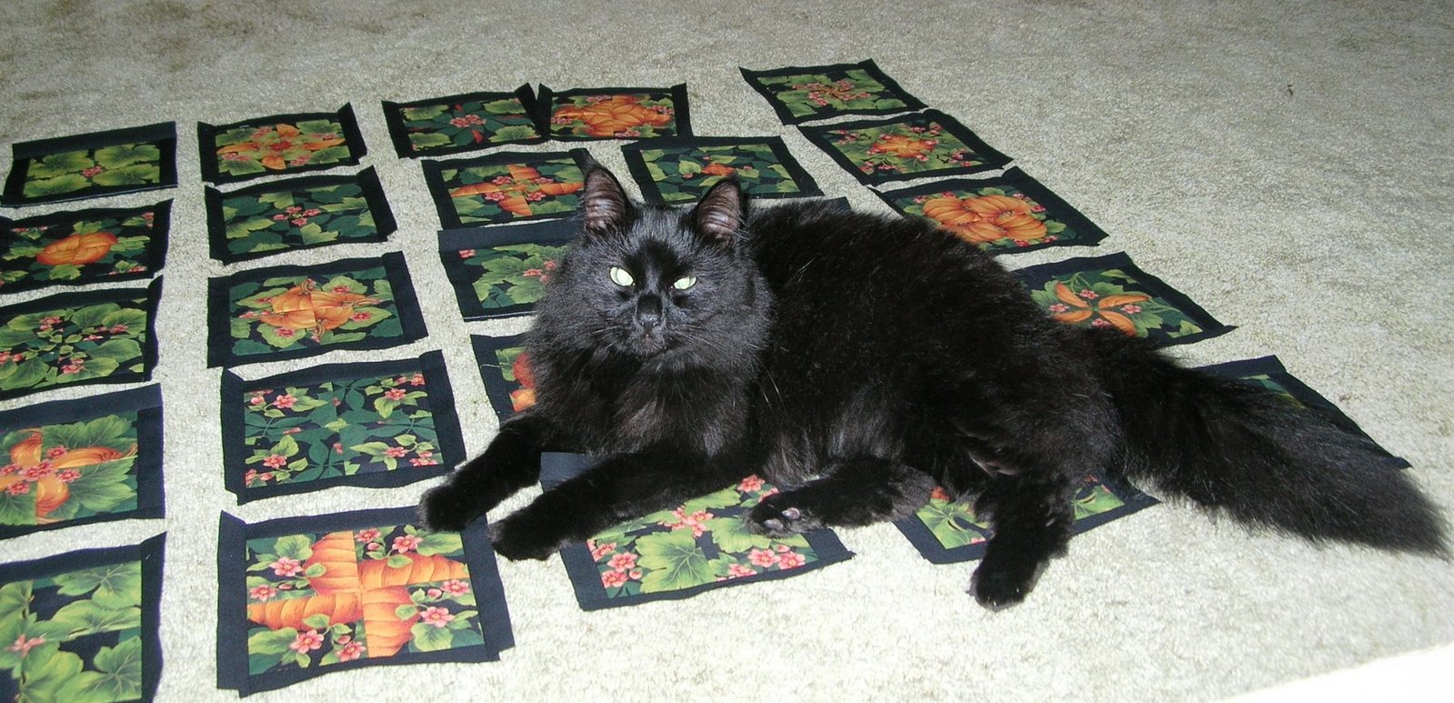 [4+patch+stacked+posies+005.jpg]