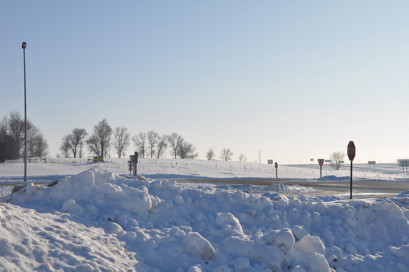 [DSC_0031.JPG]