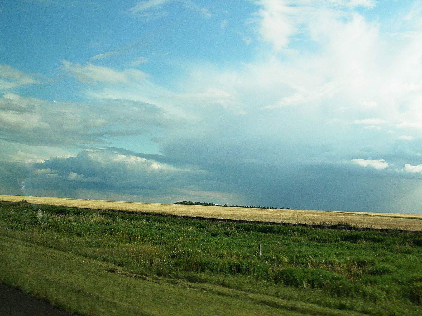 [DSCN8142.jpg]