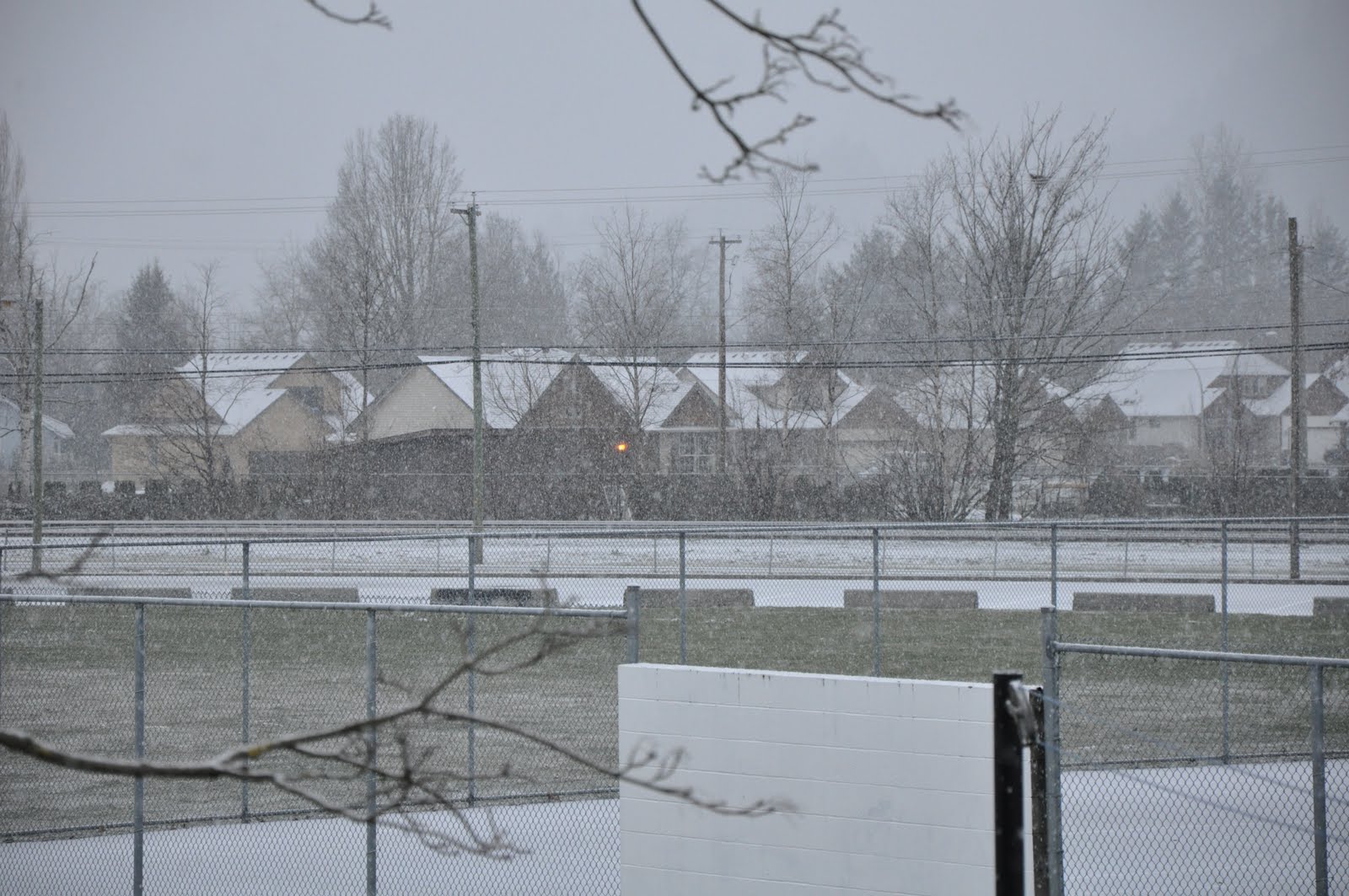 [DSC_0123.JPG]