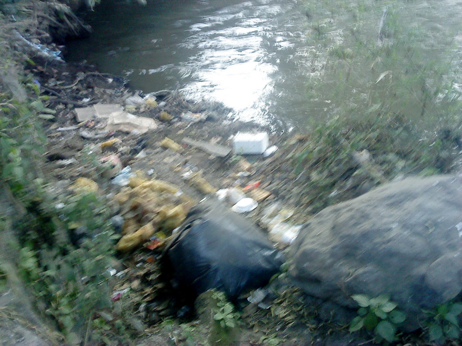 Consecuencias De La Contaminación Del Río Mololoa rossmeritta.blogspot.com