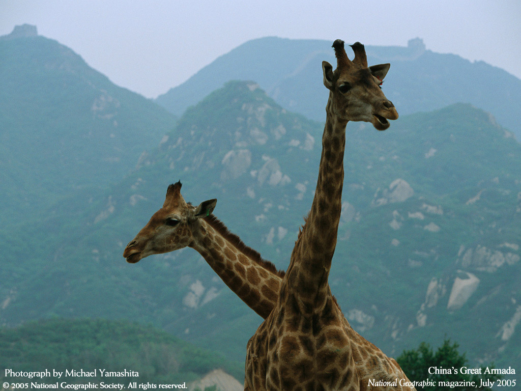 [Wallpaper+(64).jpg]