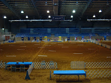 Inside the Arena