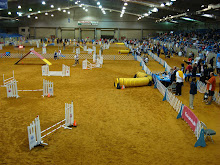 View of the Agility Rings
