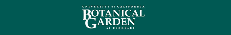 UC Botanical Garden Bulbs Nursery