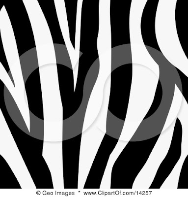 black and white zebra print background. Sunday, January 2, 2011